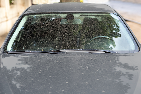 car windshield with rain spots